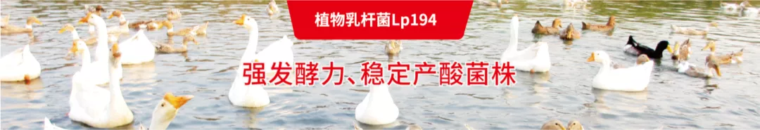 1641542881611931.jpg